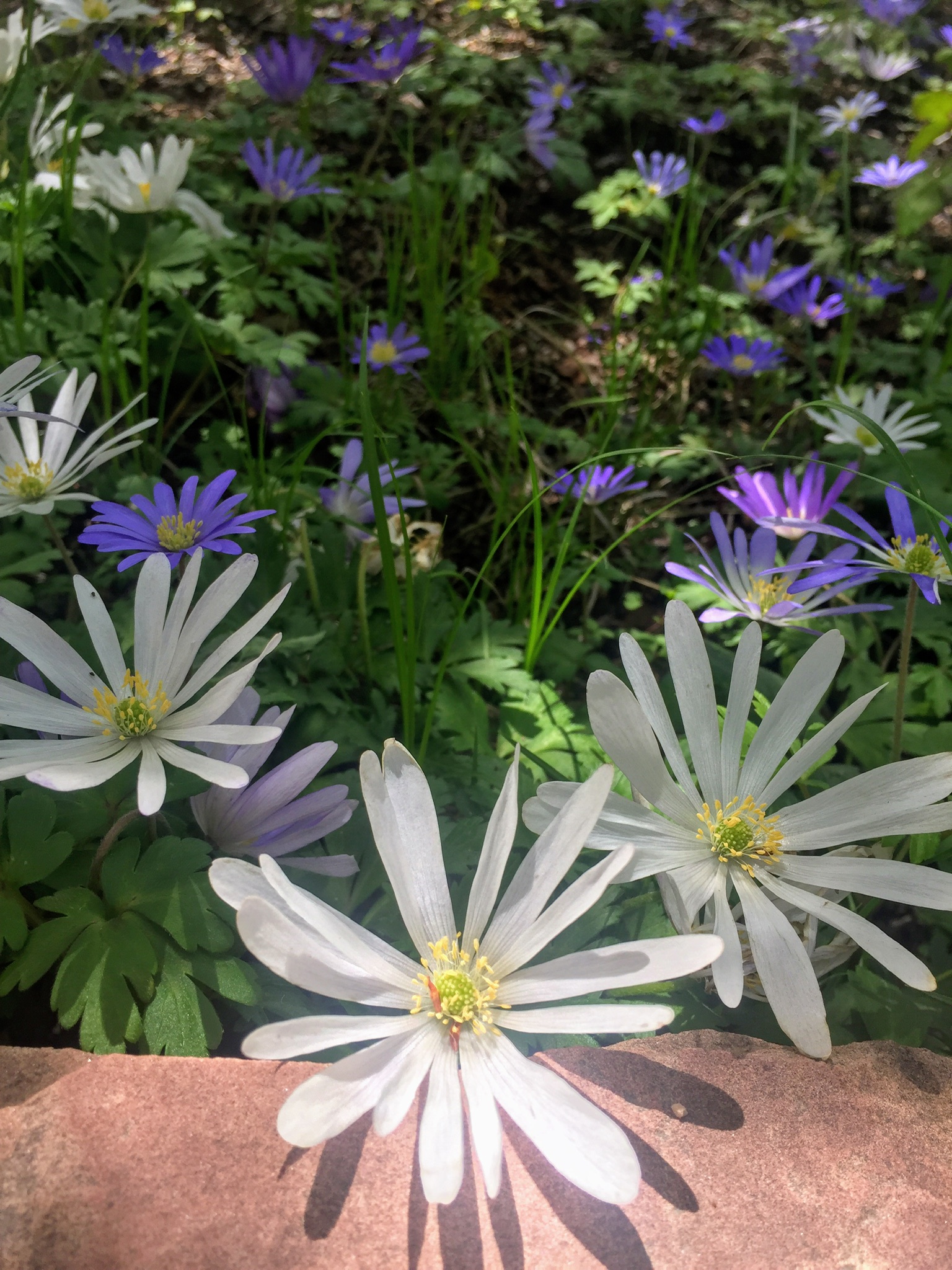 61F39D67-1117-4383-AD8A-8BBAF1E49816